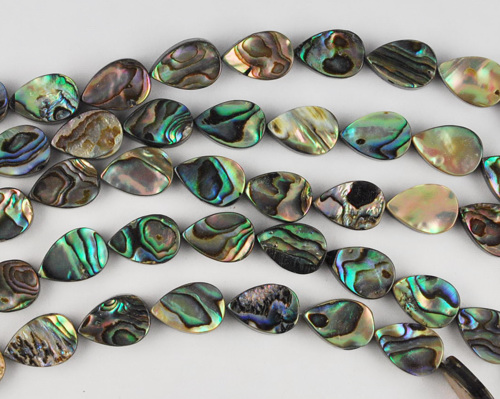 Abalone Shell, Paua Bead and Strand Wholesale