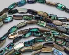 abalone bead #034
